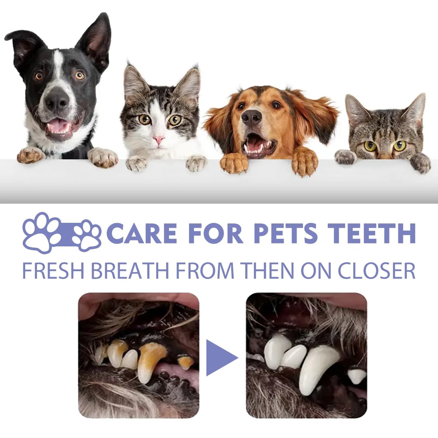 Fresher Dog Breath in Seconds — No Toothbrush Required.