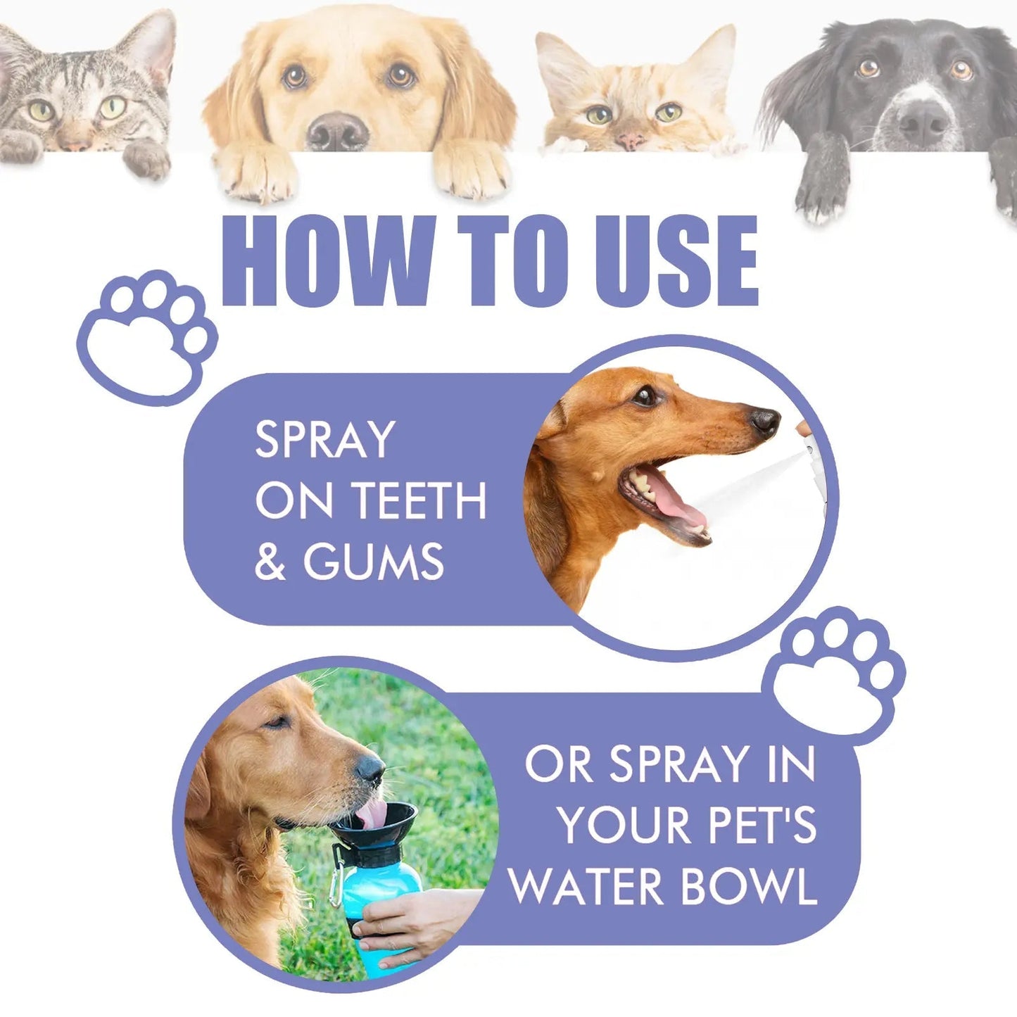 Fresher Dog Breath in Seconds — No Toothbrush Required.