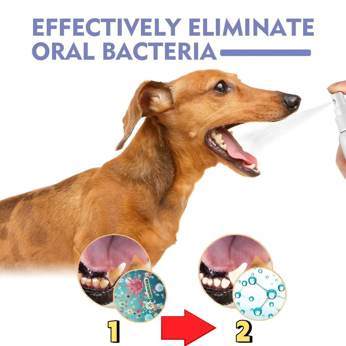 Fresher Dog Breath in Seconds — No Toothbrush Required.