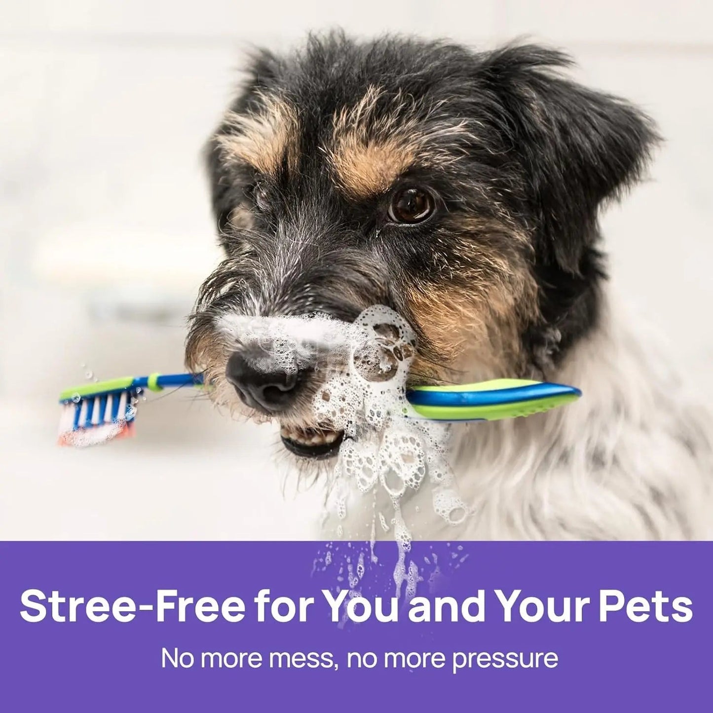 Fresher Dog Breath in Seconds — No Toothbrush Required.